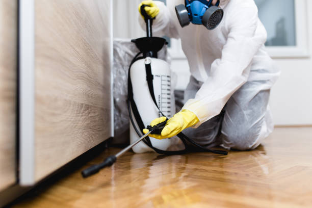 Best Local Pest Control Services  in Adairsville, GA