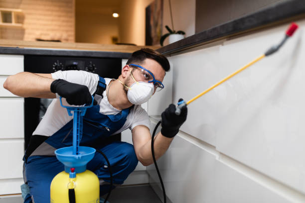 Best Best Pest Control Companies  in Adairsville, GA