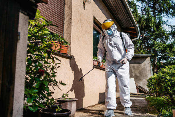 Bird Control in Adairsville, GA