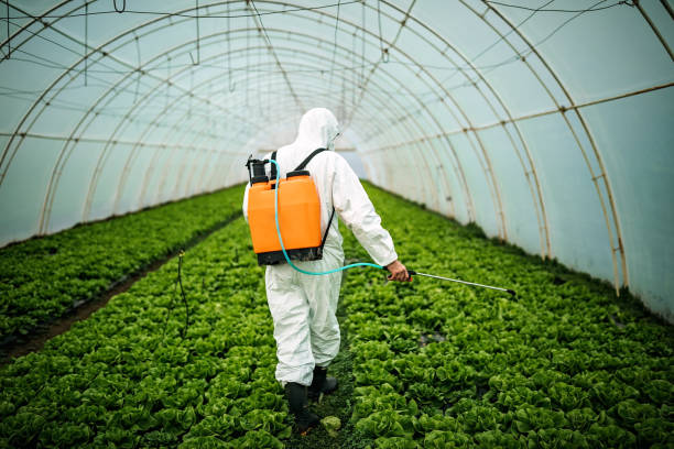 Best Commercial Pest Control Services  in Adairsville, GA