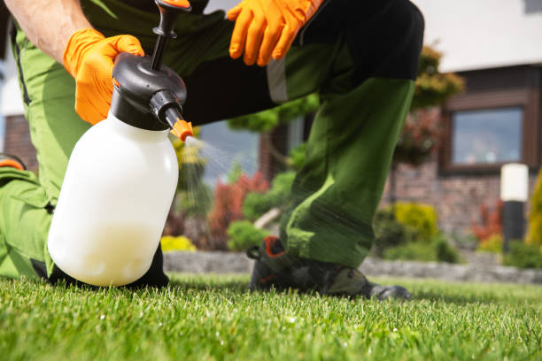 Best Affordable Pest Control Services  in Adairsville, GA
