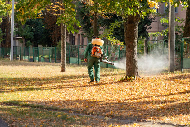 Wasp Removal Services in Adairsville, GA
