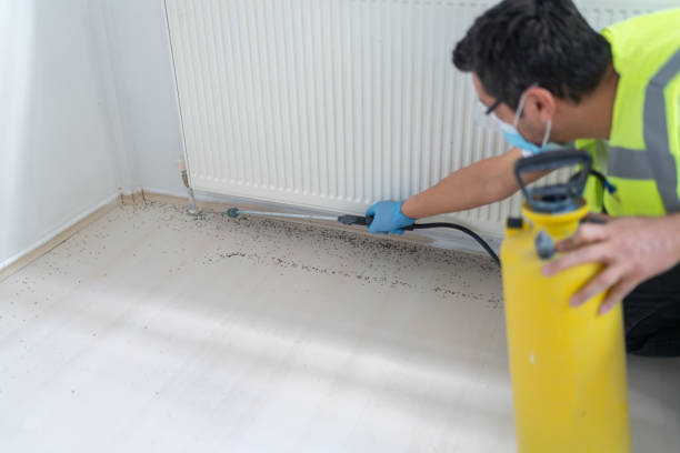 Best Emergency Pest Control  in Adairsville, GA