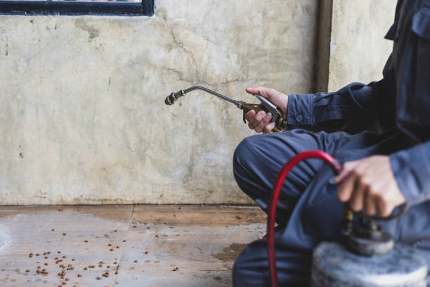 Best Pest Prevention Services  in Adairsville, GA