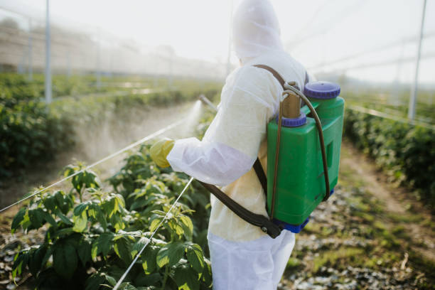 Best Insect Control  in Adairsville, GA